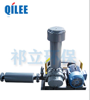 羅茨風(fēng)機(jī)有什么特性和運(yùn)行條件?.png 羅茨風(fēng)機(jī)有什么特性和運(yùn)行條件?.png